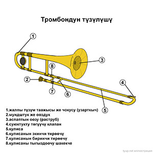 Тромбон түзүлүшү