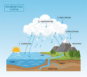 Water cycle