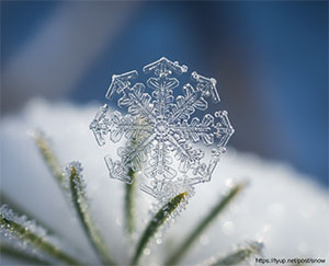 Snow crystal illustration