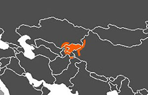 Кыргыз тилинин жайылуу ареалы