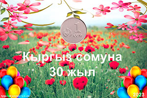 Кыргыз сомуна 30 жыл