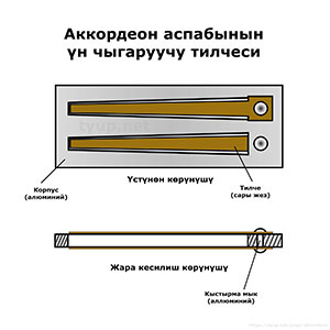 Аккордеондун үн чыгаруучу тилчеси